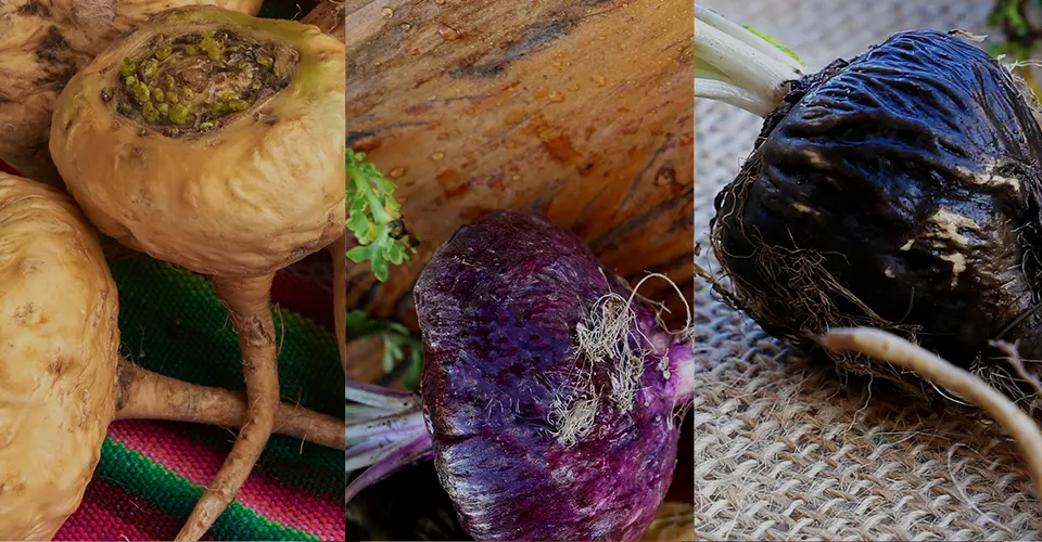 マカアンケートビジュアル