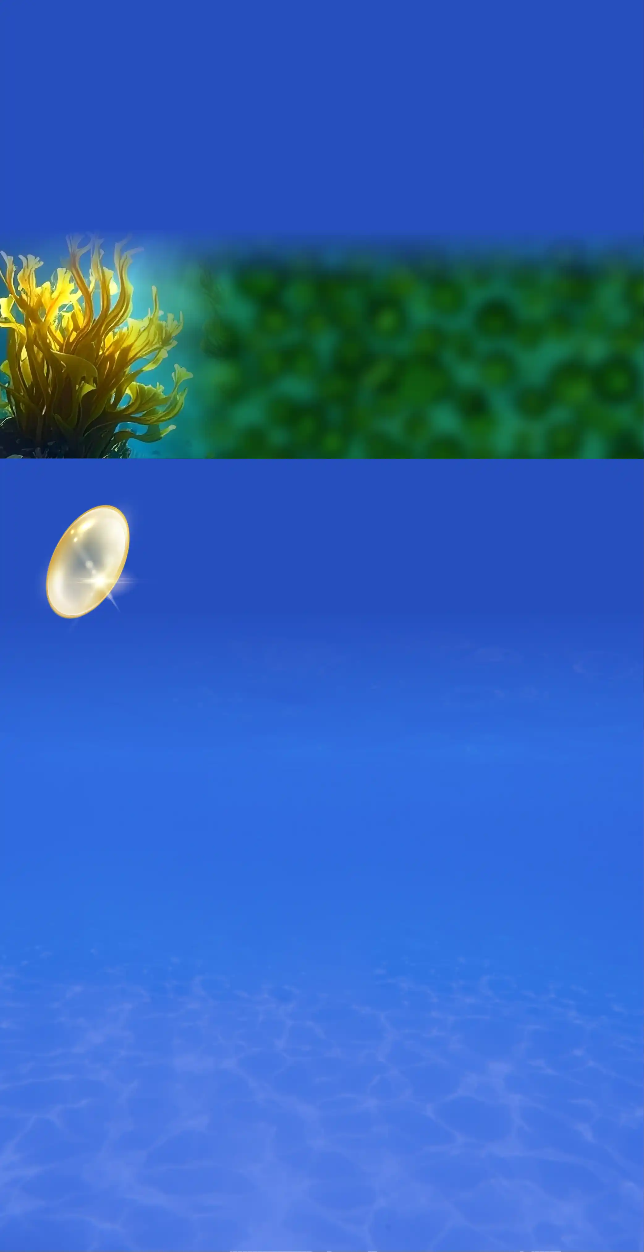 あなたの毎日を輝かせる成分DHA