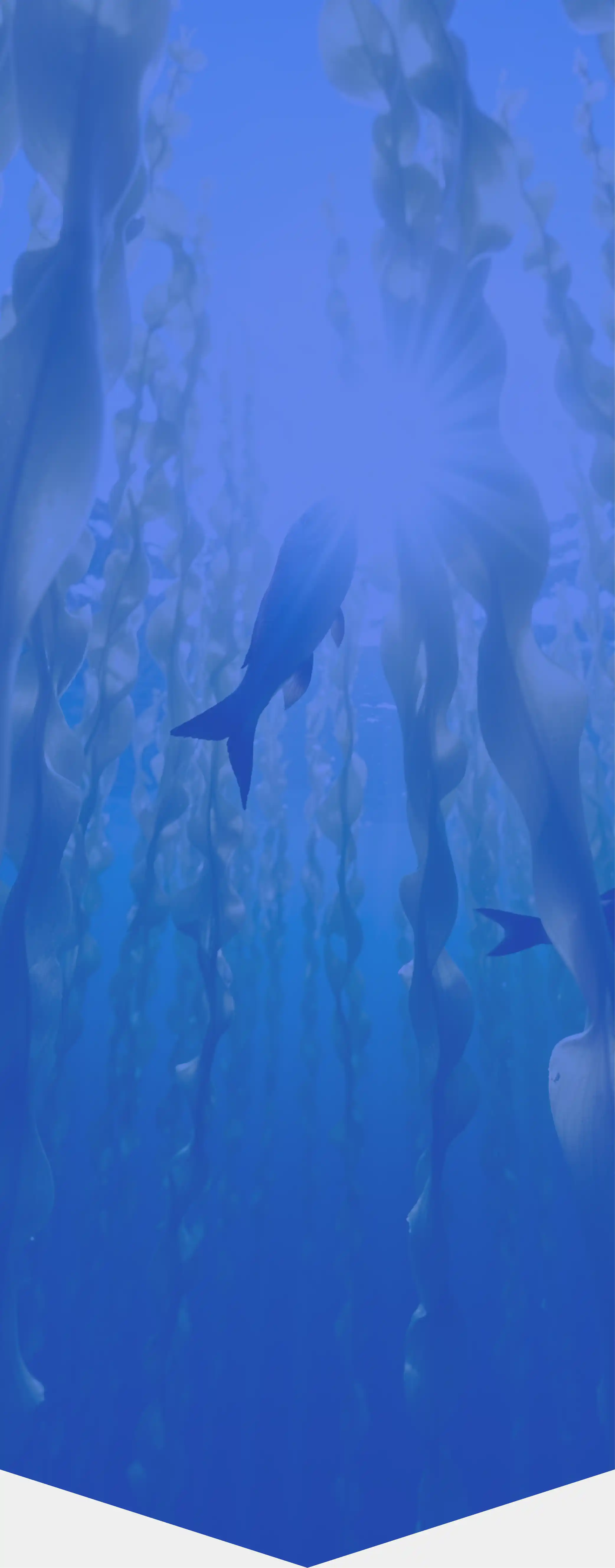 いつまでも元気で若々しくいたい方