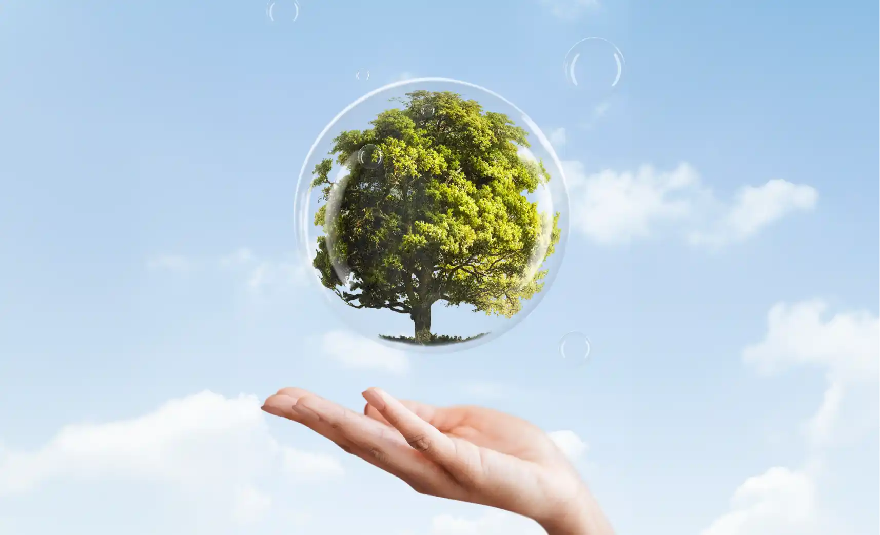 地球にもやさしい、植物由来カプセル