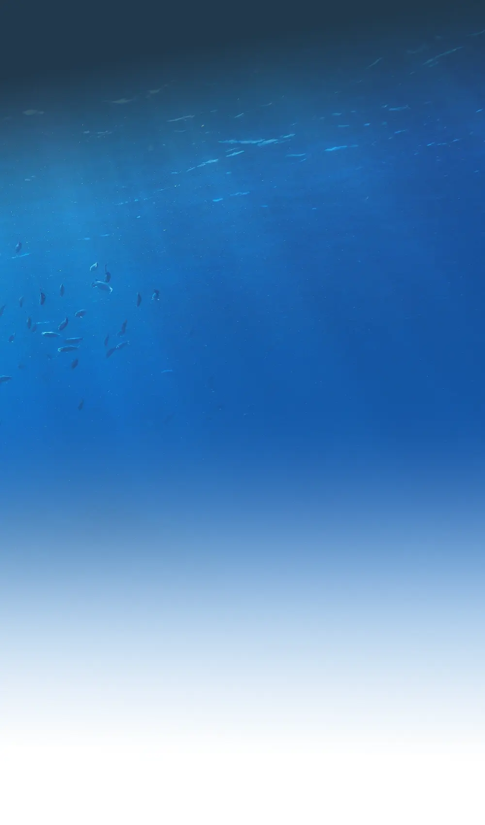 専門医の声 background