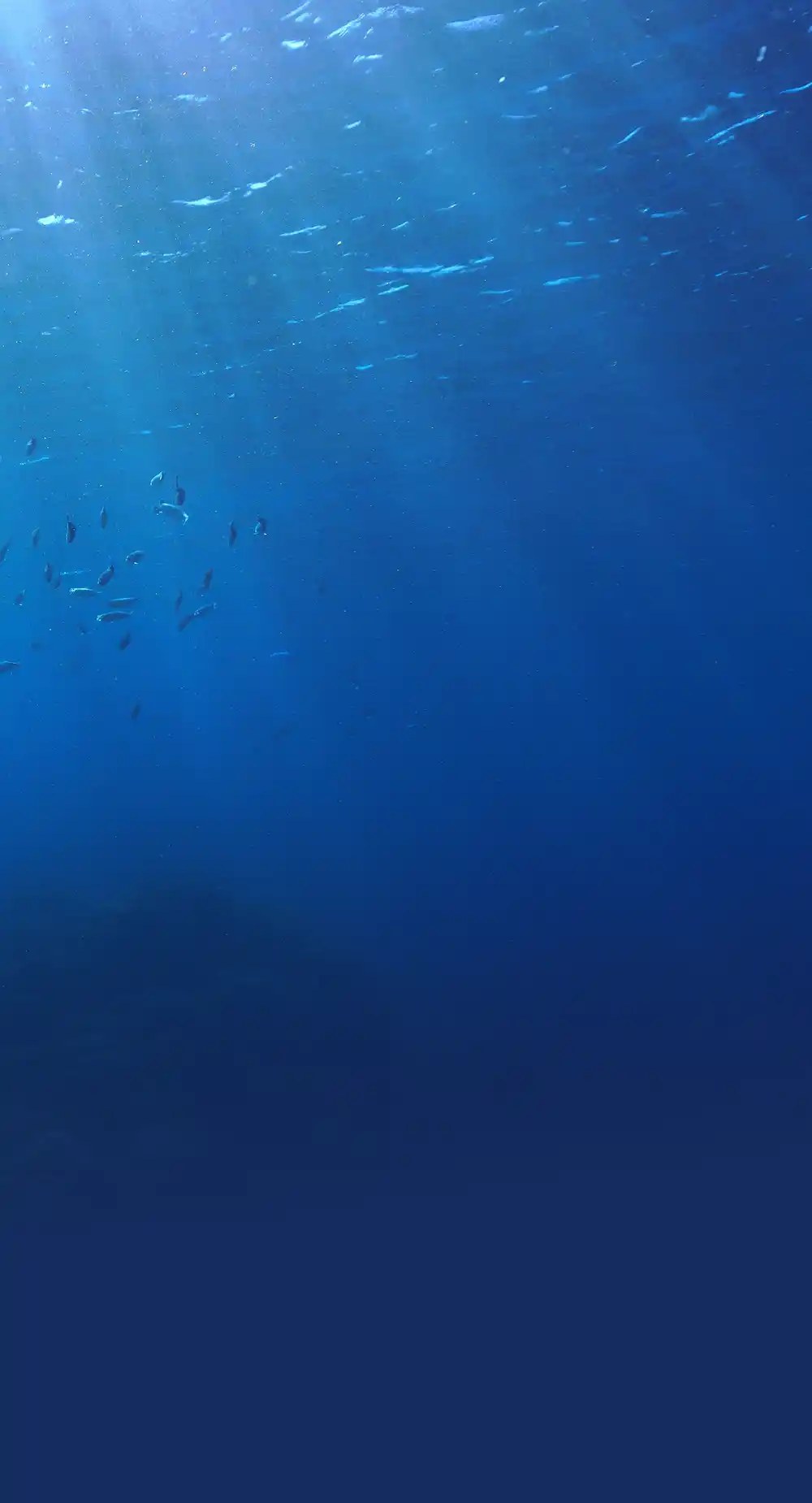 専門医の声 background