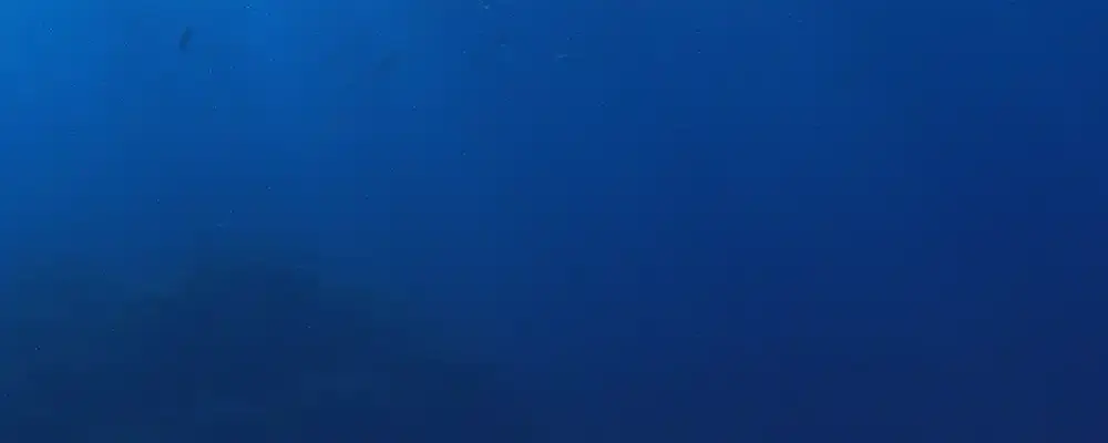 Monde Selection Award background