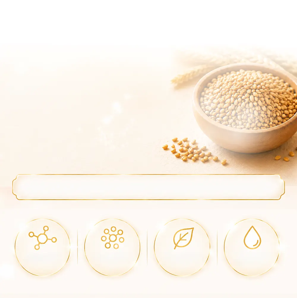 高濃度のGABA 90% background