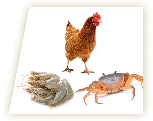 グルコサミンコンドロイチン