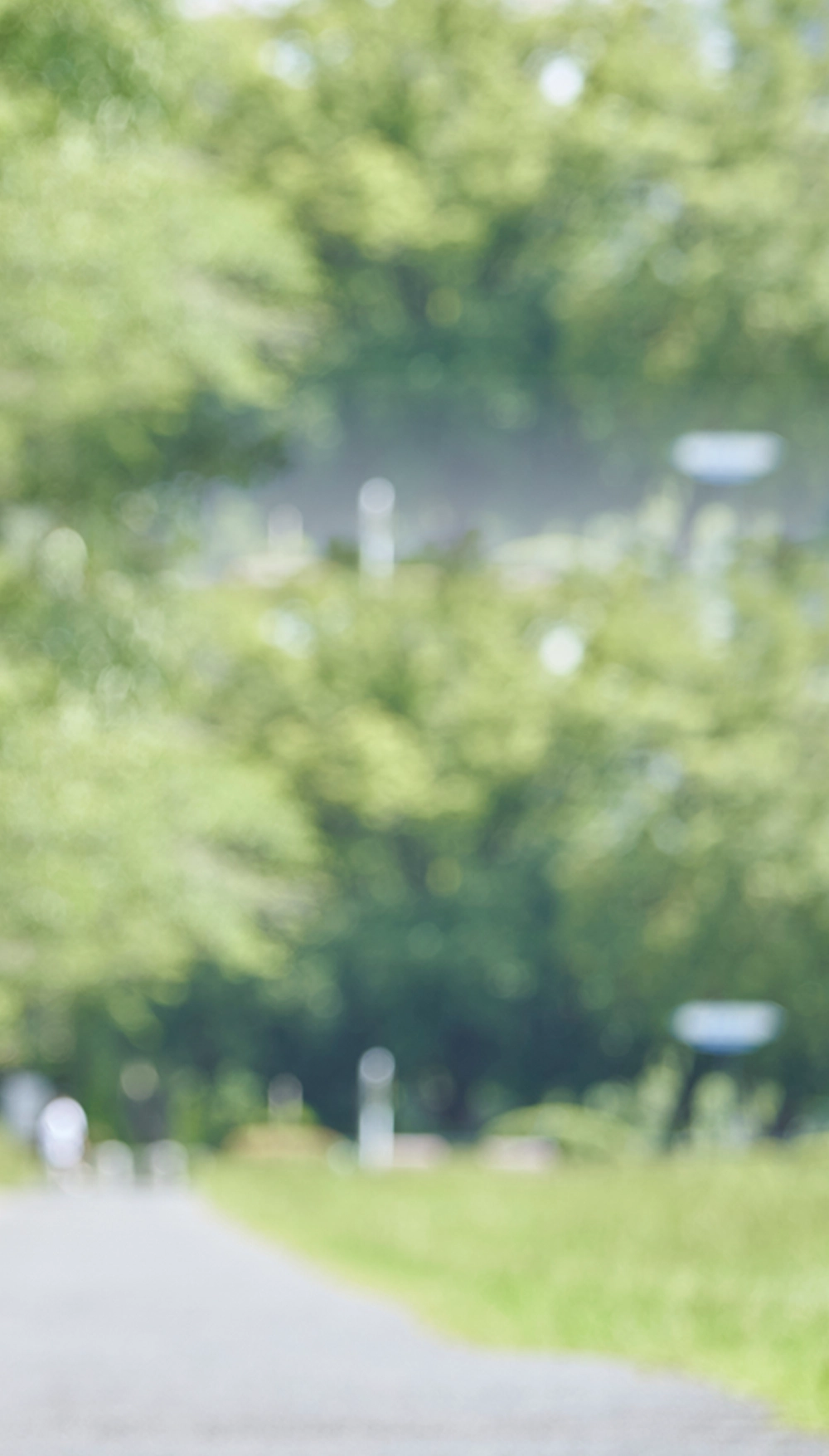 専門医の声 background