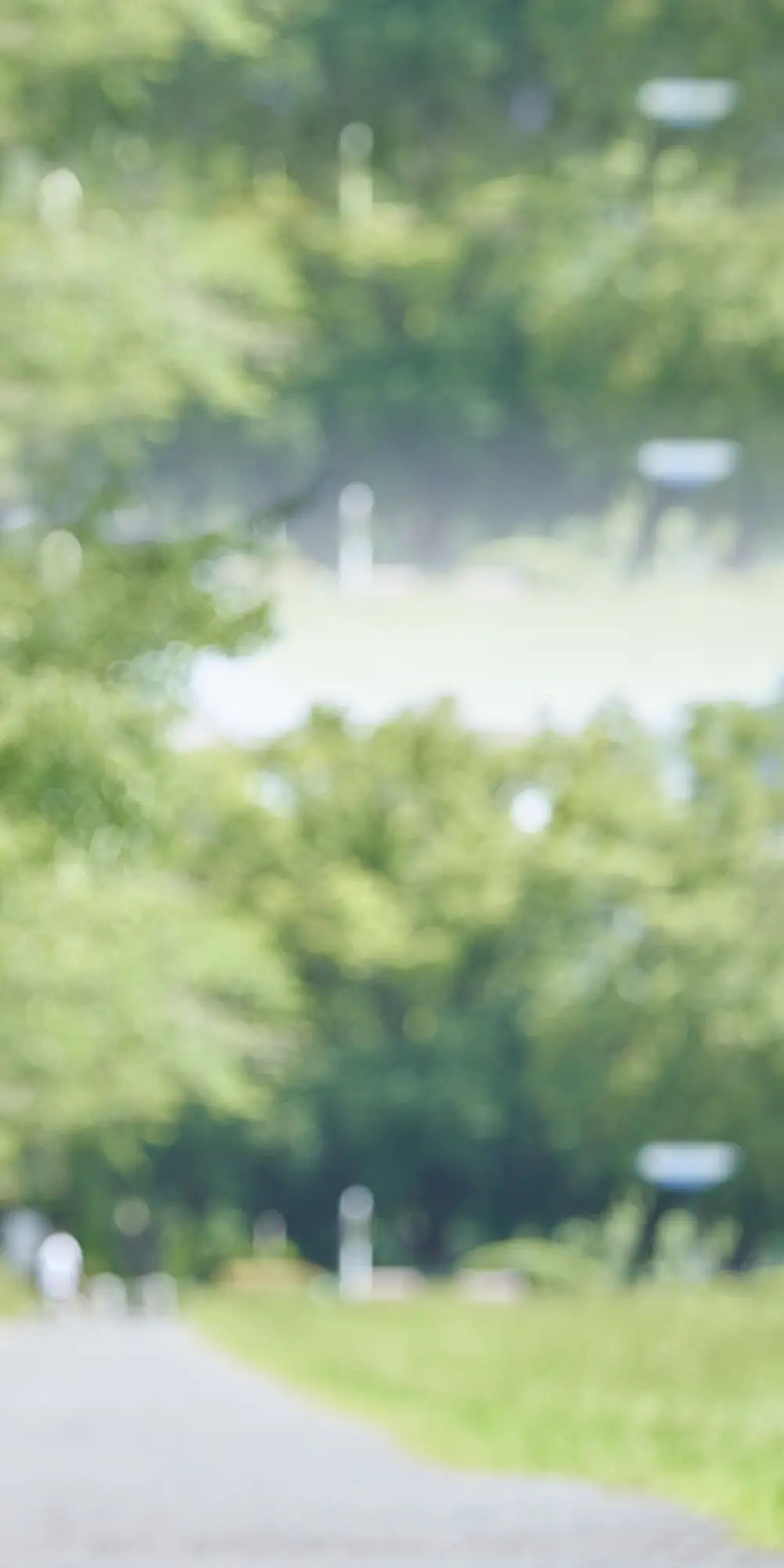 専門医の声 background