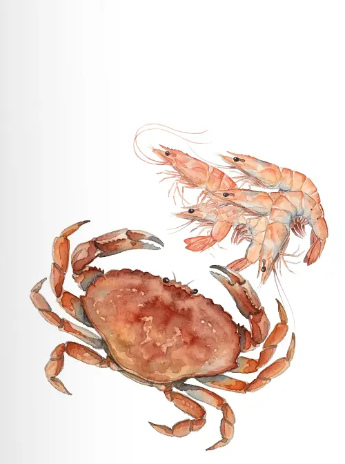 エビ・カニ由来