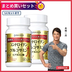 コンドロイチン&グルコサミン 30日分x2点