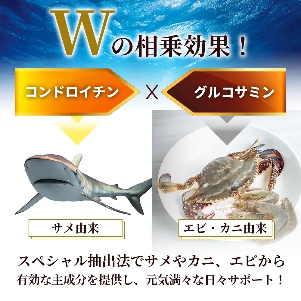コンドロイチン&グルコサミン