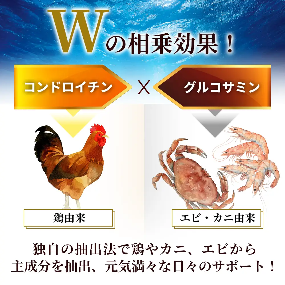 コンドロイチン&グルコサミン