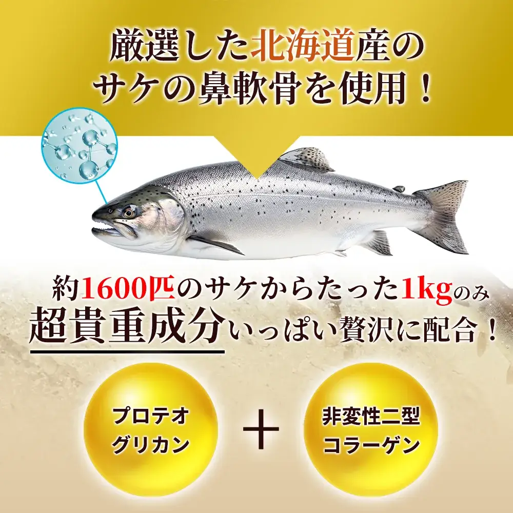 コンドロイチン&グルコサミン