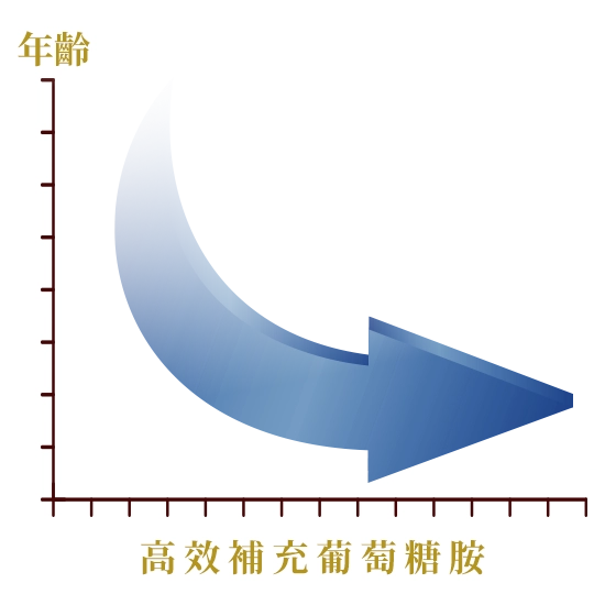 グルコサミンは年齢と共に減少をしてしまう成分の1つ