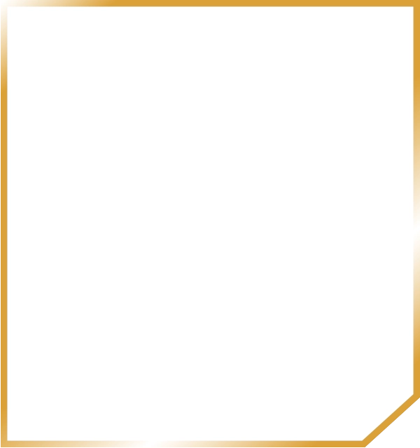 乳酸菌MCC1848 background