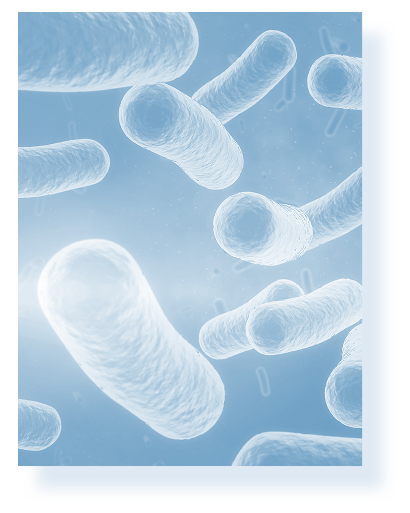 比菲德氏菌 BR-108