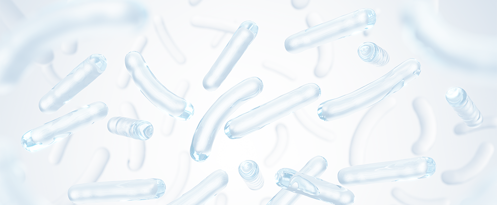 乳酸菌粉包 background