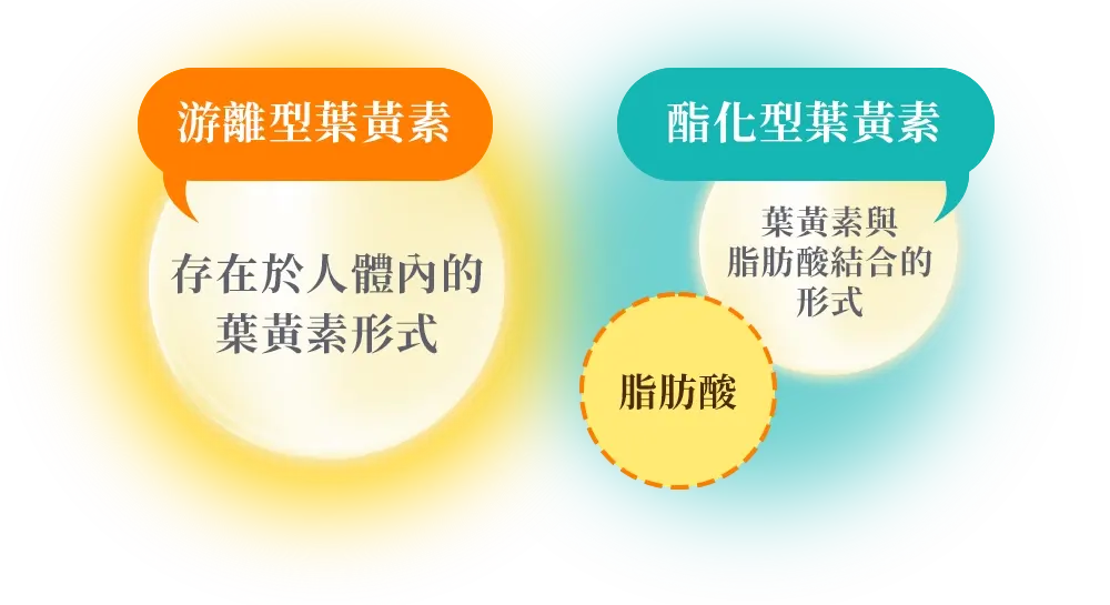 フリー体ルテインだから グングン取り込む！