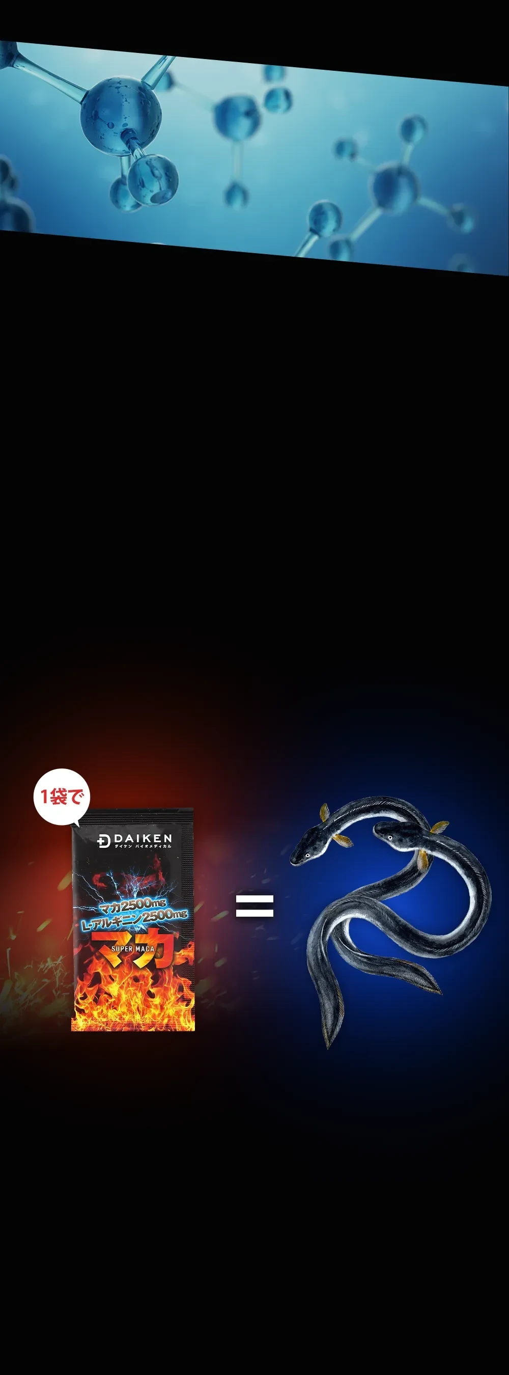 マカサプリ 1日1袋目安でアルギニン2500mg配合（うなぎ約2尾分相当)