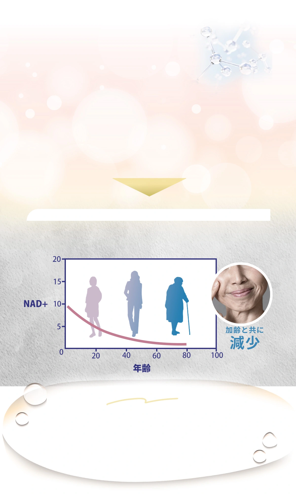 “年齢に応じた健康づくり”の鍵：NMNとNAD+の重要性