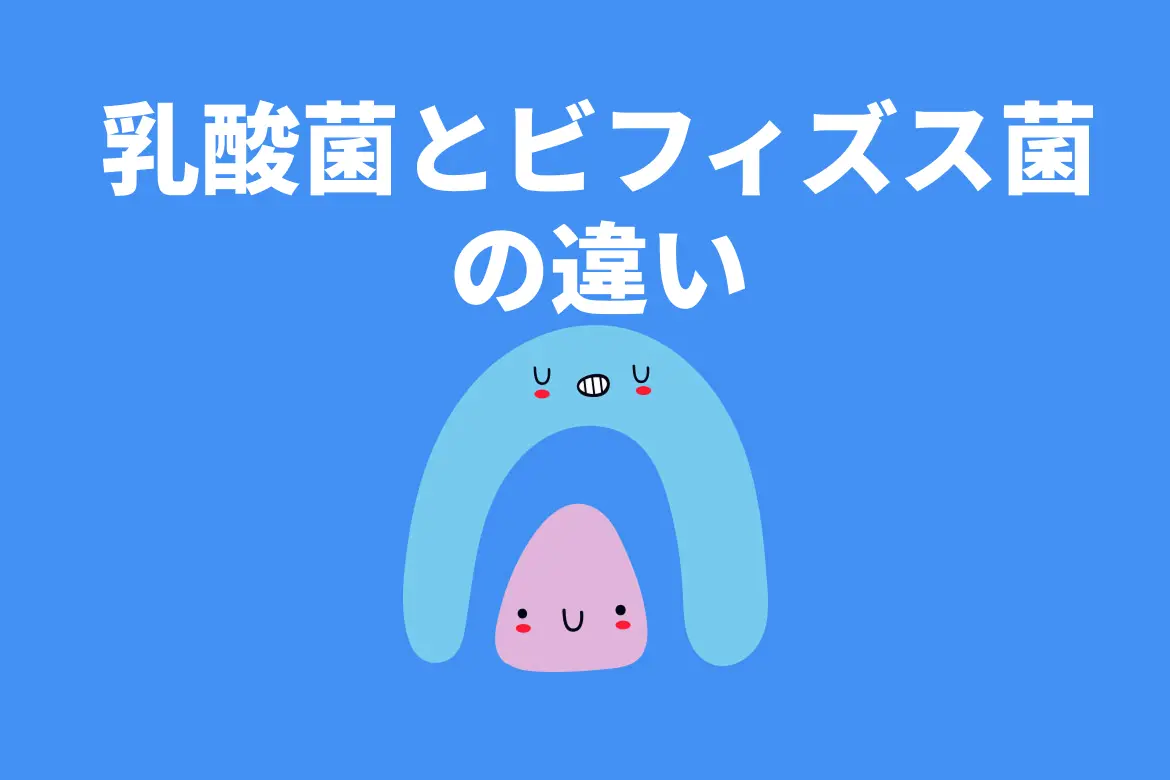 ビフィズス菌と乳酸菌の違いとは?